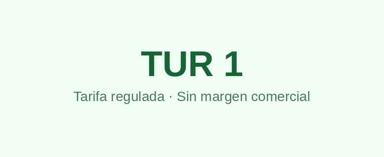 Gas TUR 1 — Tarifa regulada de gas en España